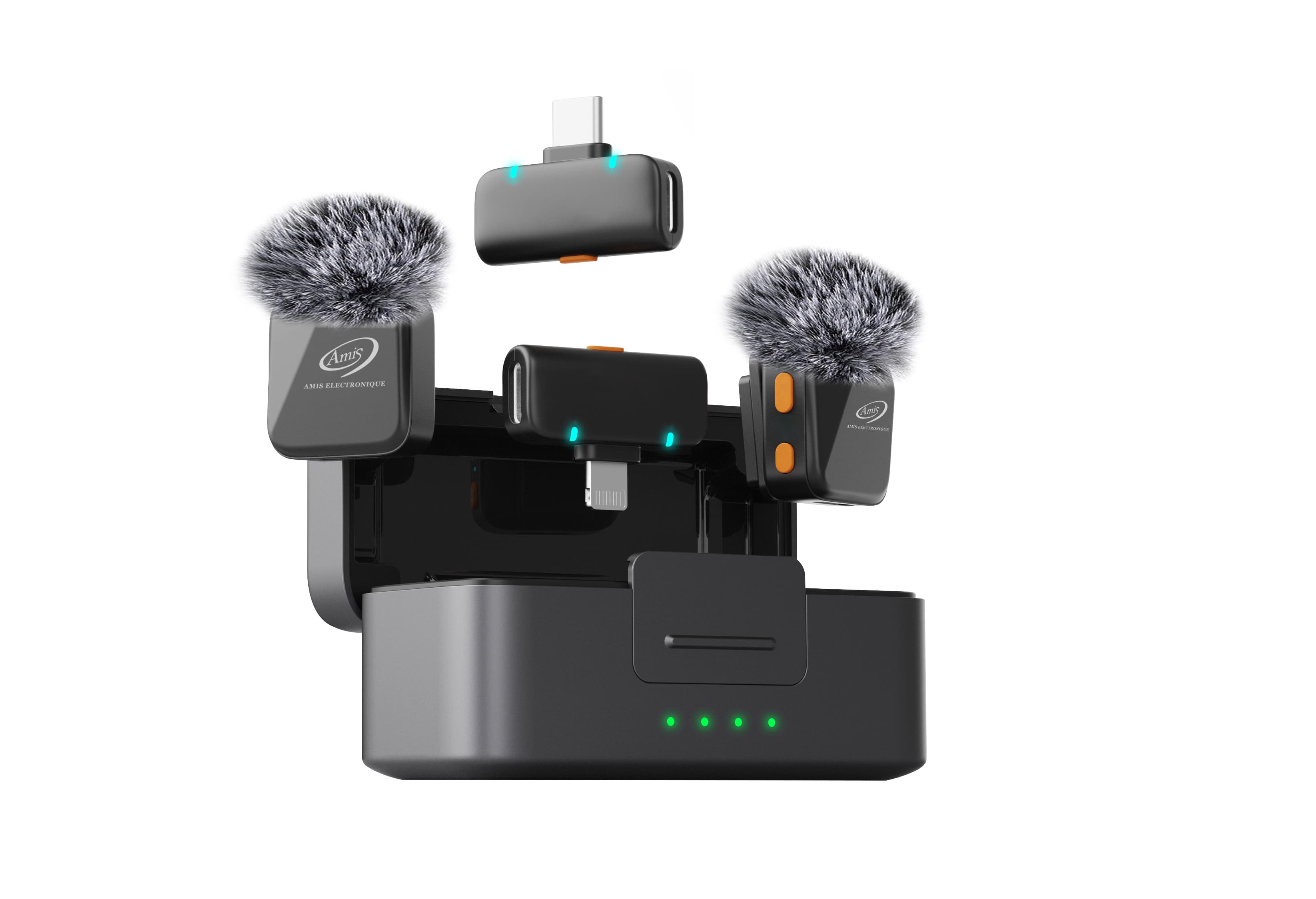 AMIS MIC 6